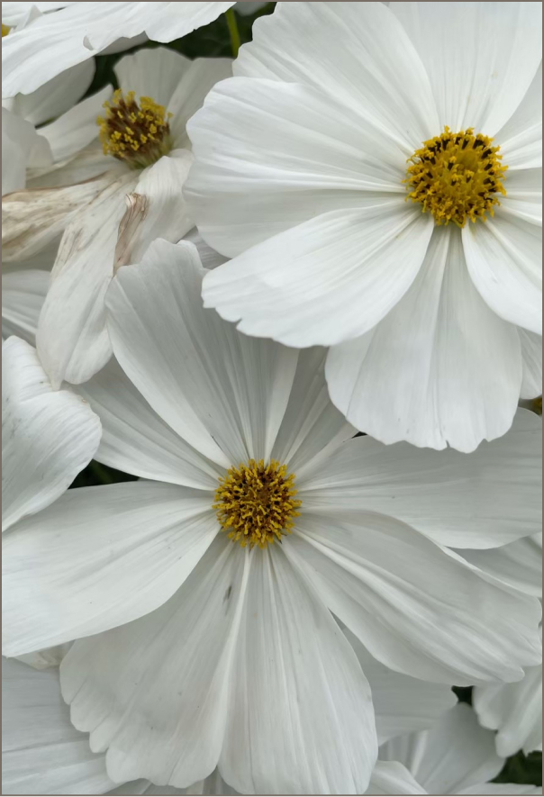 サイトのメインビジュアルに使用した写真のレタッチ前の画像